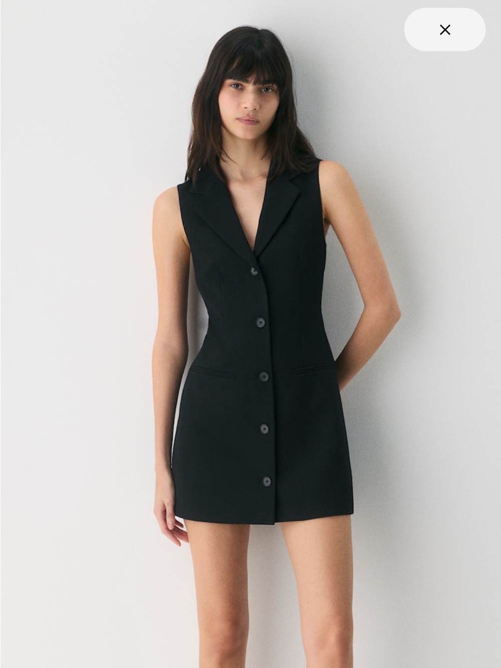 Aritzia Babaton Mastermind Dress